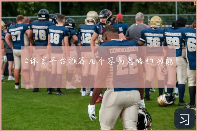 e体育平台推荐几个容易忽略的功能